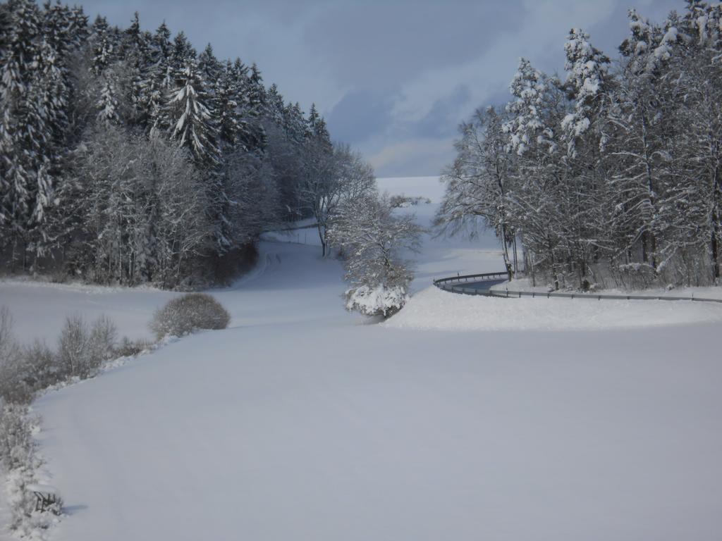 Landgasthof Schuetzen Tengen Exterior foto